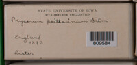 Image Associated With the Occurrence